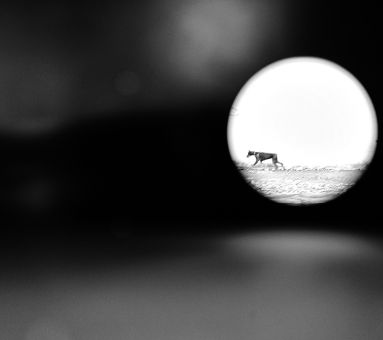 sezione_fotografia